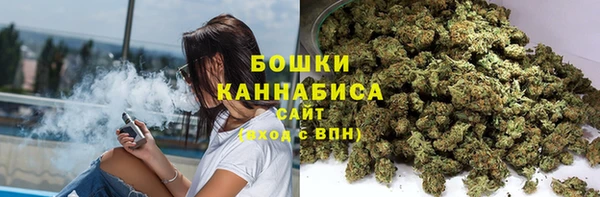 сатива Гусь-Хрустальный